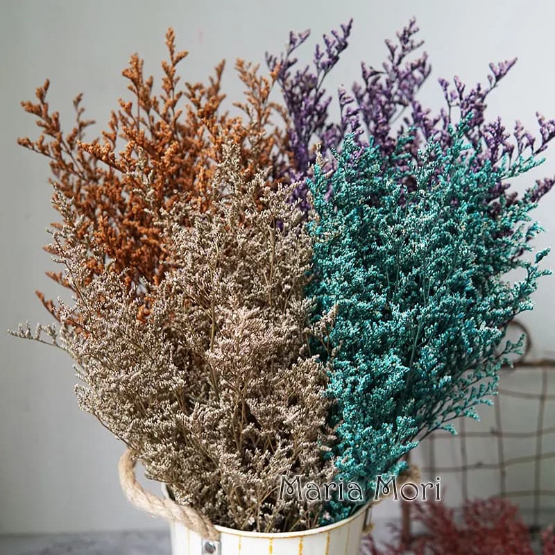 70g/Herbe de la Saint-Valentin stabilisée Limonium, Herbe des Amoureux pour Accessoires de Fleuriste, Décoration Intérieure, Populaire sur INS