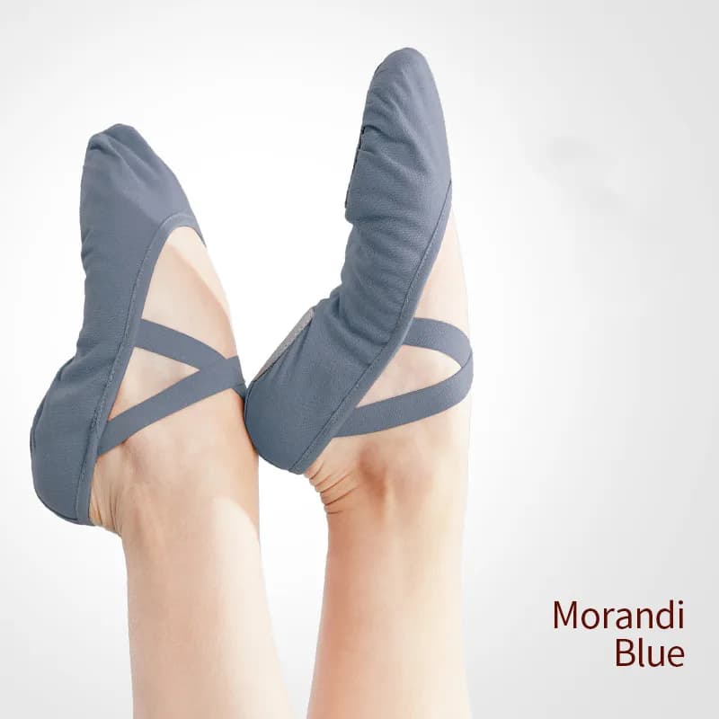 Chaussures de Ballet pour femmes et enfants, pantoufles de danse à semelle souple, chaussures d'entraînement de danse professionnelles en toile pour adultes