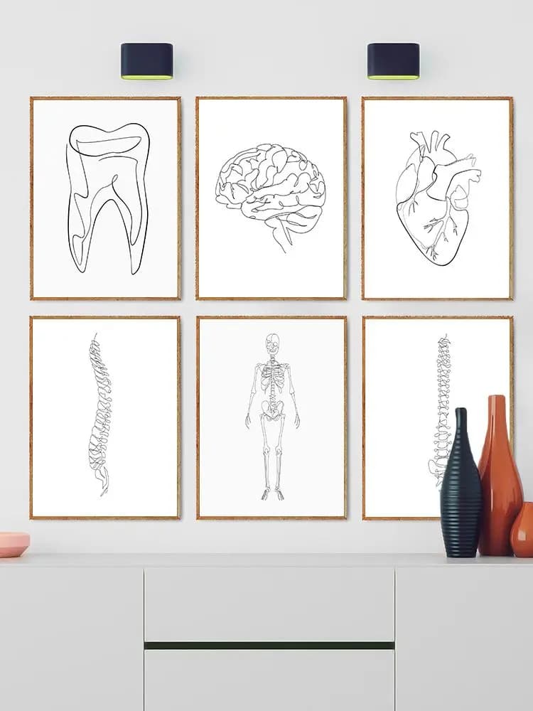 Posters et Imprimés de Modules d'Anatomie Seton One Line, Dessin de Cœur d'Anatomie, Illustration sur Toile, Décor Mural de Clinique, Cadeau