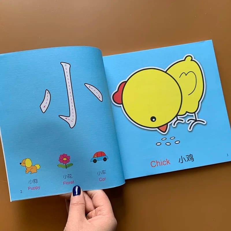 Hanzi Pinyin – livre d'apprentissage préscolaire des caractères chinois, pour enfants de 0 à 3 ans, éducation précoce, chinois et anglais, nouveauté