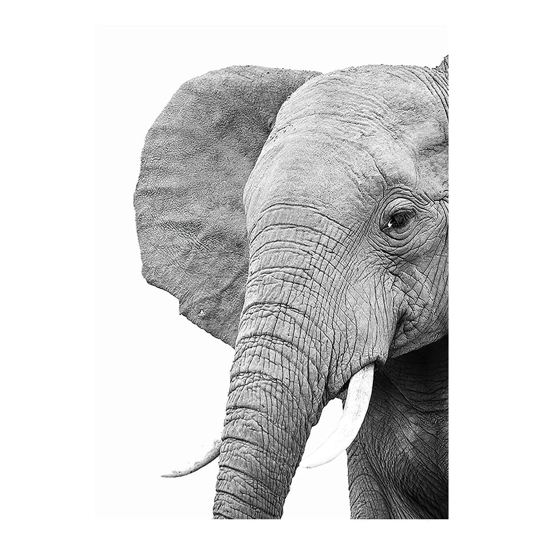 Images noires et blanches, décoration de chambre d'enfants, animaux imprimés, Lion, zèbre, éléphant, affiche d'art murale, peinture sur toile pour pépinière Safari
