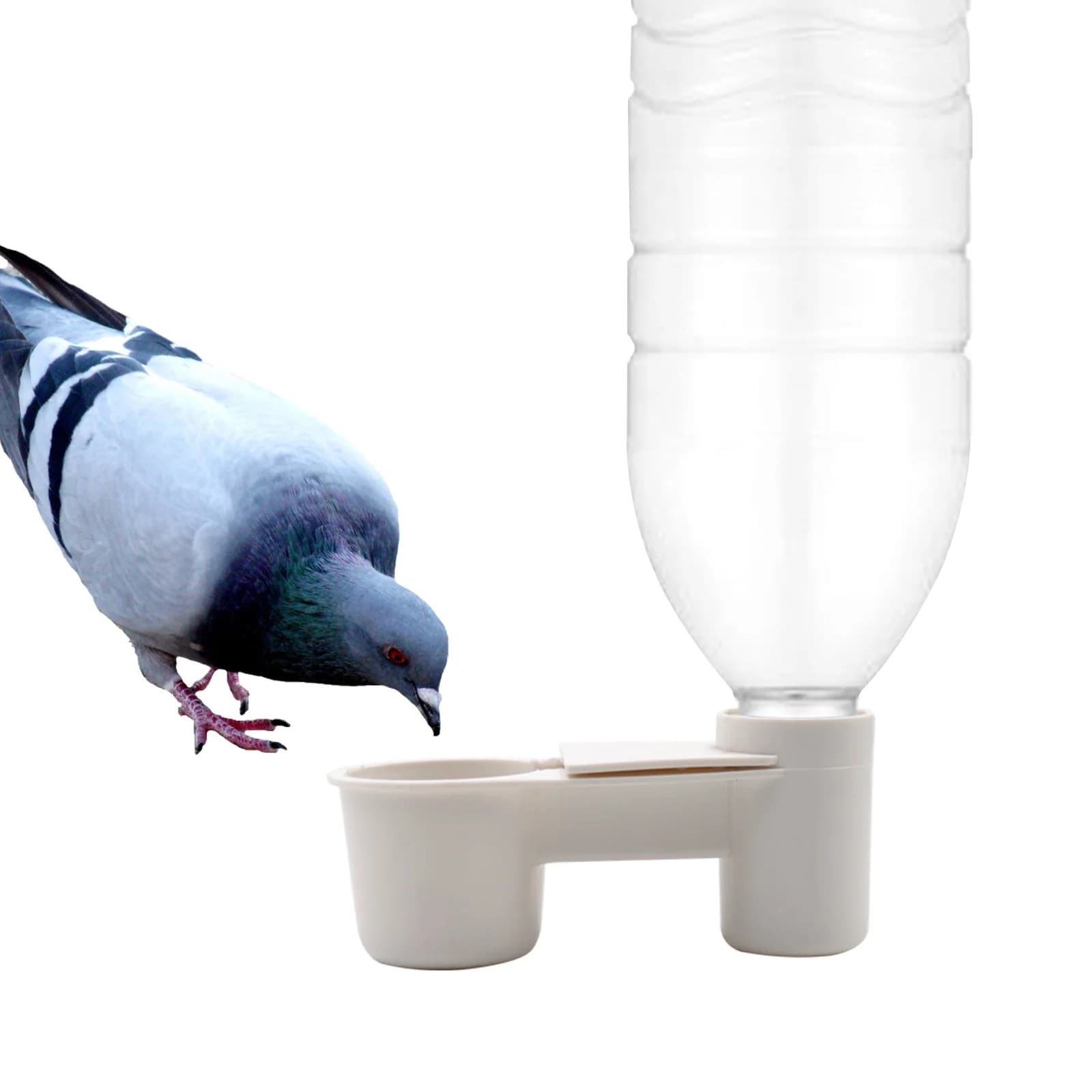 Abreuvoir en plastique pour animaux de compagnie, bouteille d'eau, tasse, chat, poulet, Pigeon, perruche, chaud pour poulet, Pigeon, maison, jardin