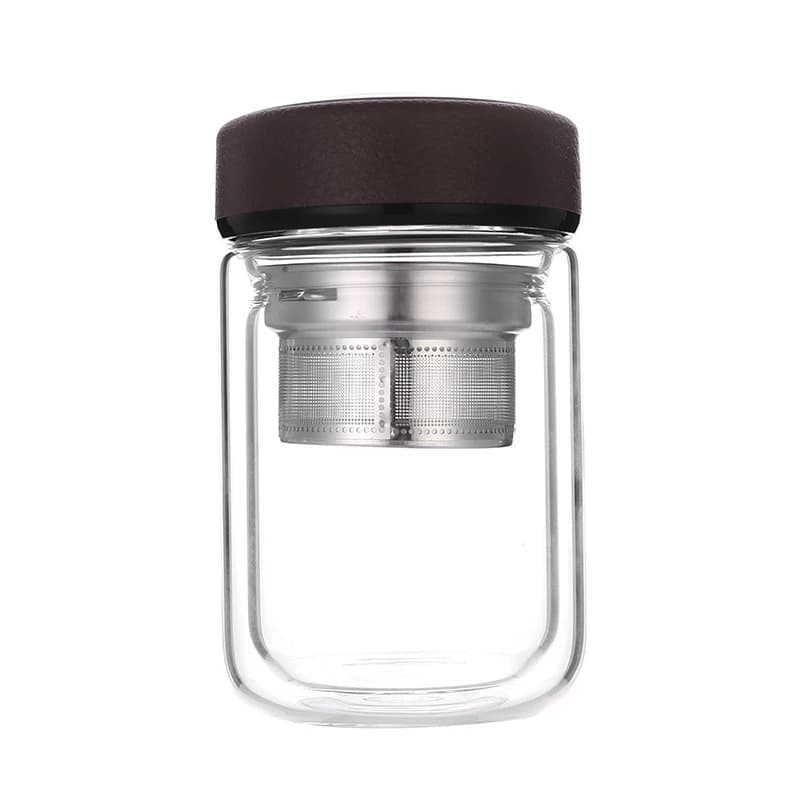 Bouteille de thé d'eau en verre à Double paroi de 250ML, avec infuseur en acier inoxydable, filtre, passoire, tasse à boire Portable de voyage