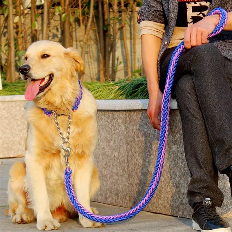 Corde à Double brin pour grands chiens, laisse en métal, boucle en chaîne P, couleur contrastée, corde de Traction pour animaux de compagnie, ensemble de colliers pour grands chiens, longueur 1.2m