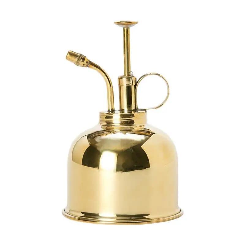 Arrosoir en laiton vintage pour plantes succulentes, bouteille de pulvérisation dorée pour jardinage, pot d'arrosage, outil de jardin