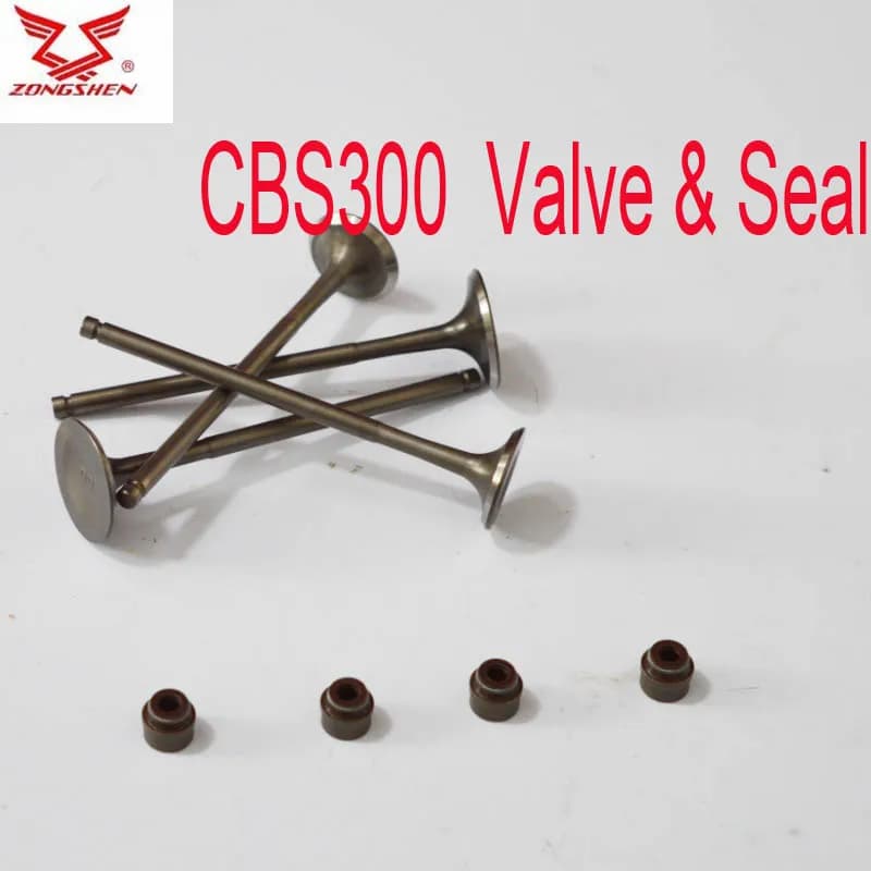 Zongshen cbs250 cbs300 soupape d'entrée de sortie de moteur 250cc joint de valve de moteur de moto