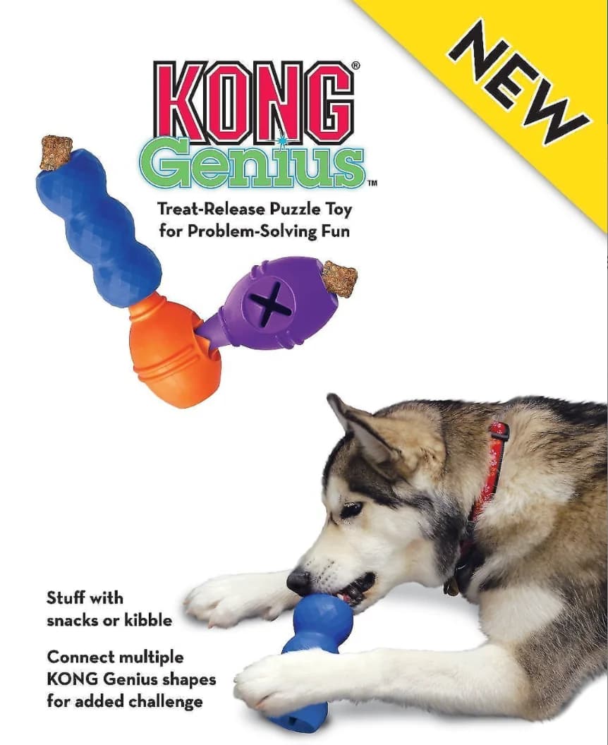 Jouet pour chien KONG Genius stabiliser, taille S, le document varie