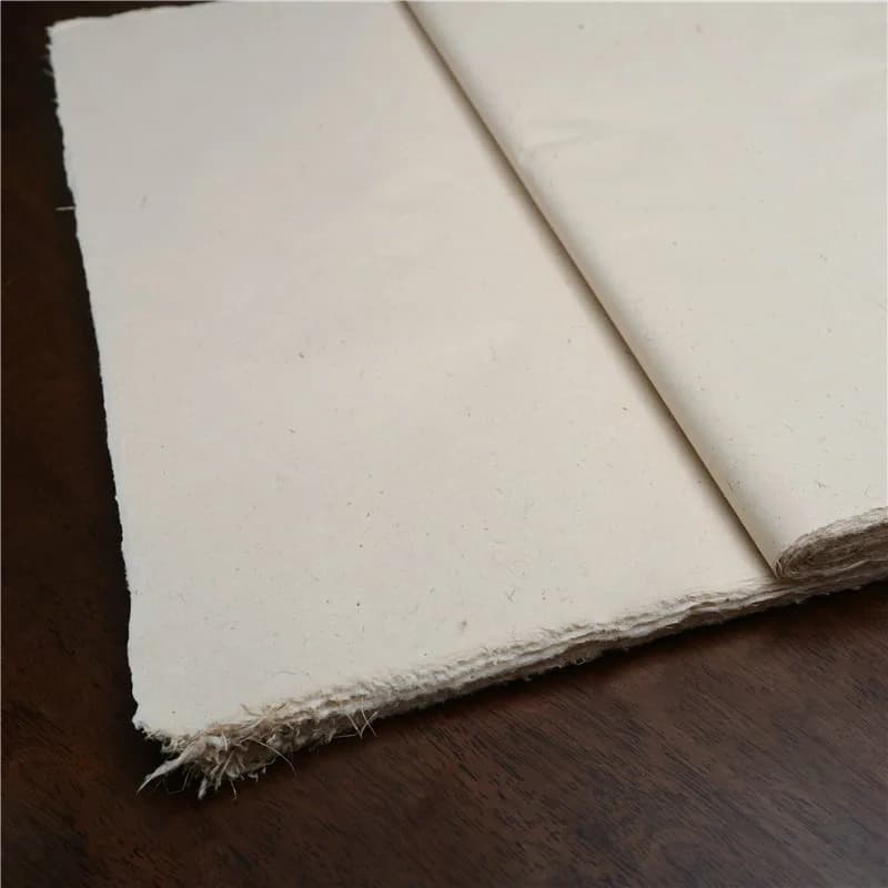 Papier de Fiber Xuan de plantes chinoises 35x46cm, papier de mûrier, Fiber de chanvre fait à la main, papier de calligraphie, papier de riz