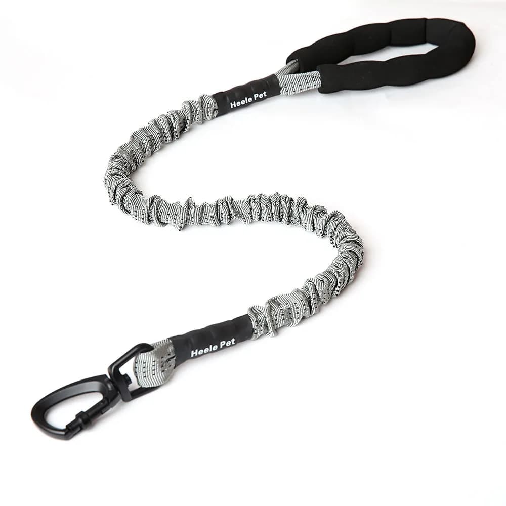 Amorti de laisse Flexible pour chien, antidéflagrant, corde élastique tampon, grande et féroce forte