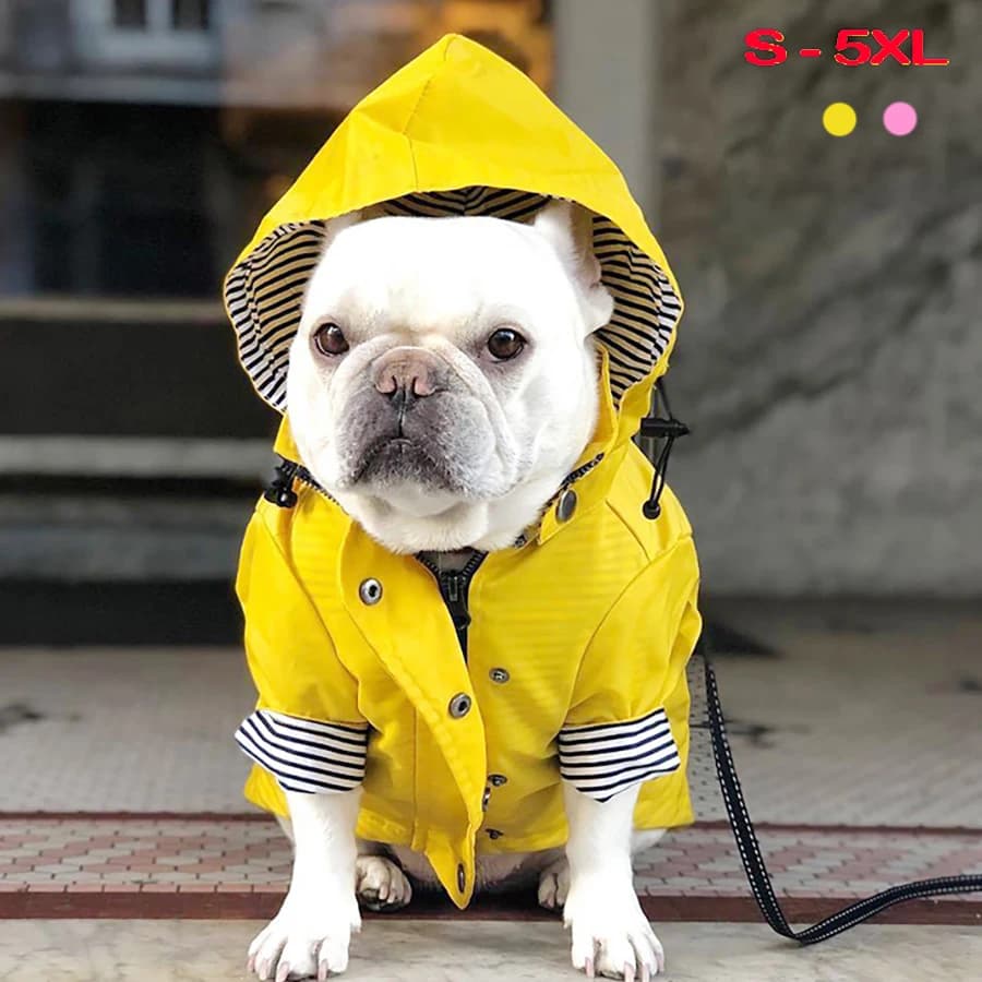 Manteau imperméable pour chien, veste imperméable pour petits, moyens et grands chiens, chats, imperméable, sweat à capuche de Sport, Popa Perro, vêtements à la mode pour animaux de compagnie