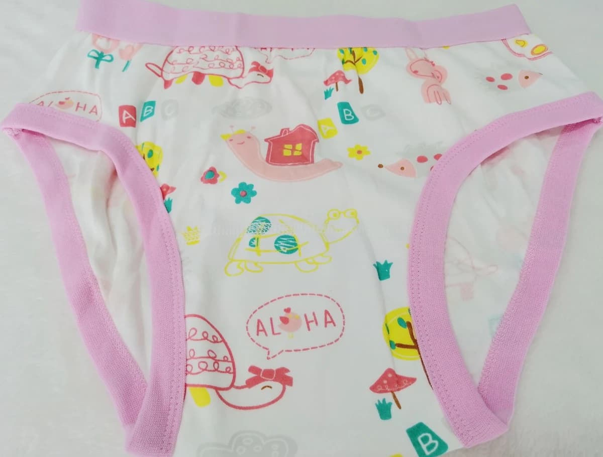 Sous-vêtements en coton Animal Home pour femmes, culotte en coton pour femmes