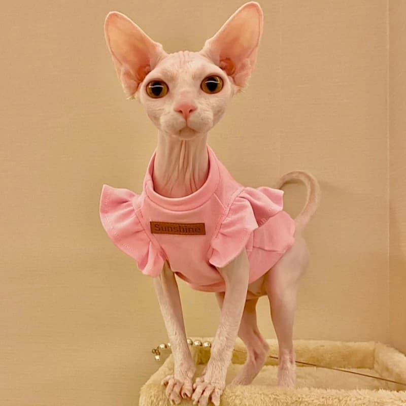 Sphynx – vêtements de luxe pour chat, robe fantaisie d'été pour chien, sans poils, petit bouledogue français, Costume pour chiot, chatons, gilet, 2021