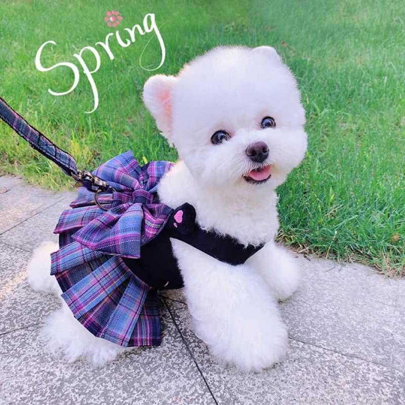 Robe d'été pour chien et chat avec laisse SFP, jupe mignonne pour petits chiens, chihuahua, bichon, robes de chiot de luxe, vêtements pour animaux de compagnie, printemps