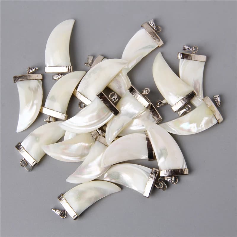 Cornes blanches naturelles en forme de dent, pendentifs en coquillage, breloque pour accessoires de collier, fabrication de bijoux, collier à faire soi-même, beau accessoire