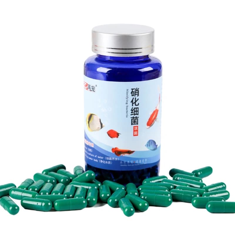 Capsules concentrés pour Aquarium, 20/30/80/100 pièces, bactéries nitrifiantes, nettoyage d'étang, alimentation en eau fraîche, My06 21