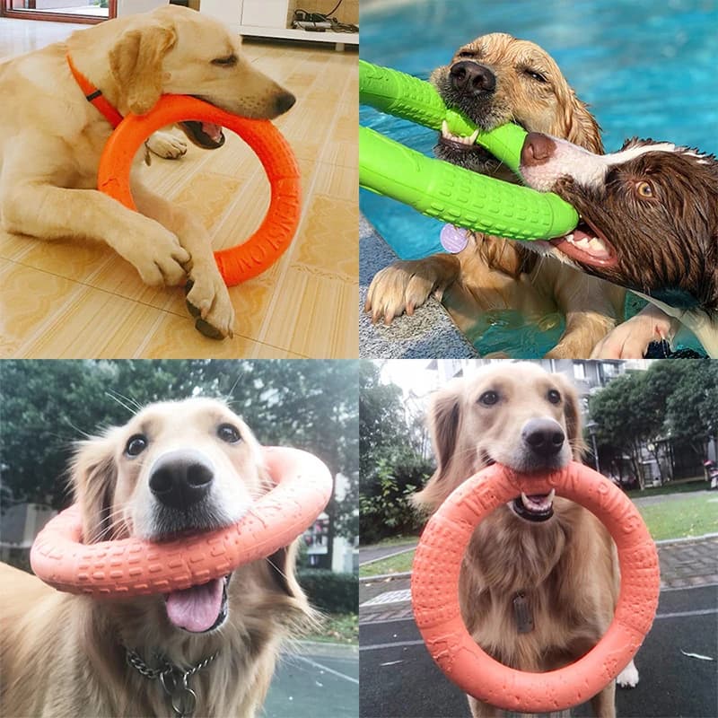 Anneau de morsure de disques volants pour animaux de compagnie, jouets pour grands chiens, entraînement oligcoule, degré flacon, petit chien