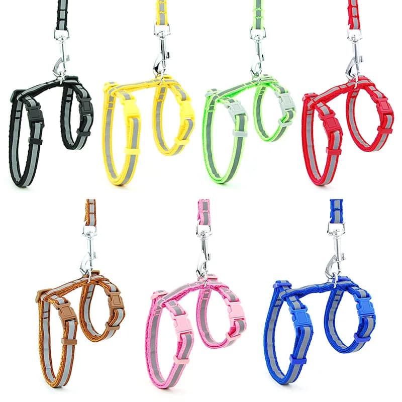 Laisse réglable en nylon moulé pour animal de compagnie, collier à licou pour chaton et chiot, ceinture lumineuse pour chien, SFP