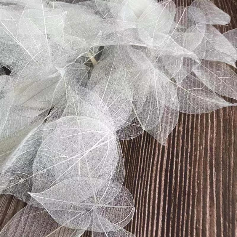 5 ~ 9CM * 2 ~ 3.5CM, 100 pièces/ensemble, véritable veine de feuille de Vajra naturelle séchée, feuilles de squelette de fleurs sèches pressées, décoration de mariage à faire soi-même