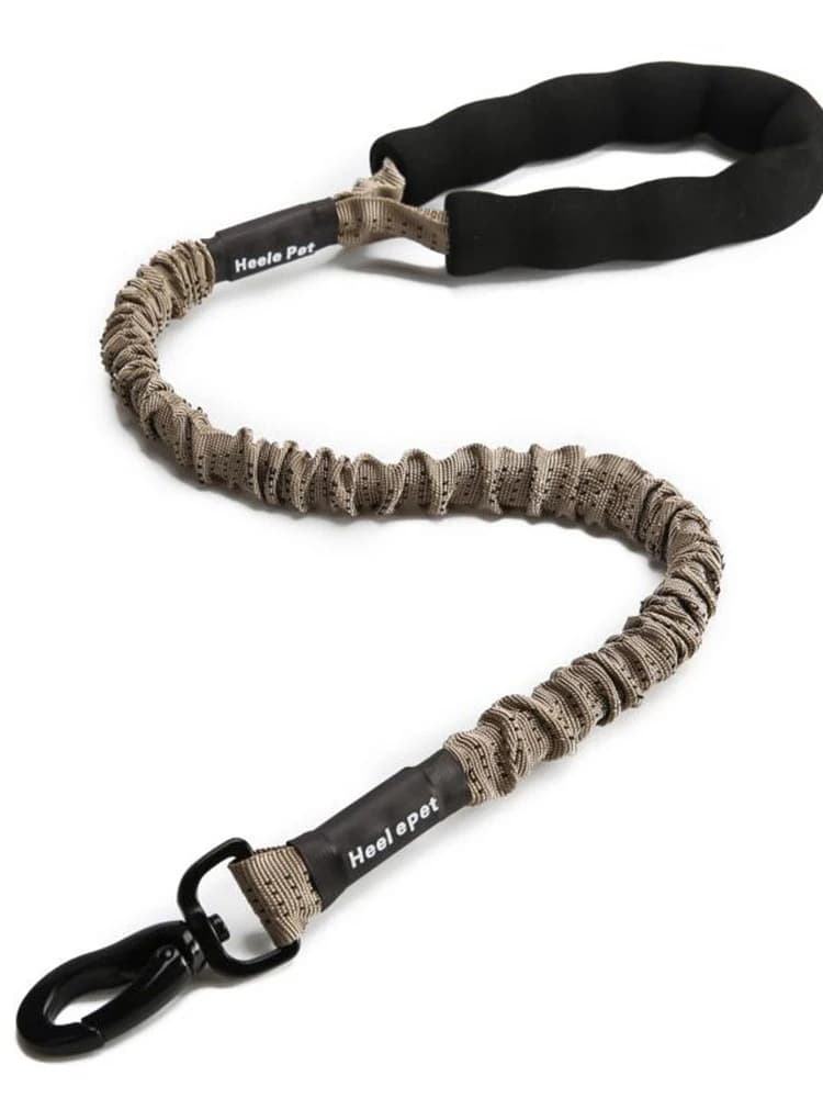 Amorti de laisse Flexible pour chien, antidéflagrant, corde élastique tampon, grande et féroce forte