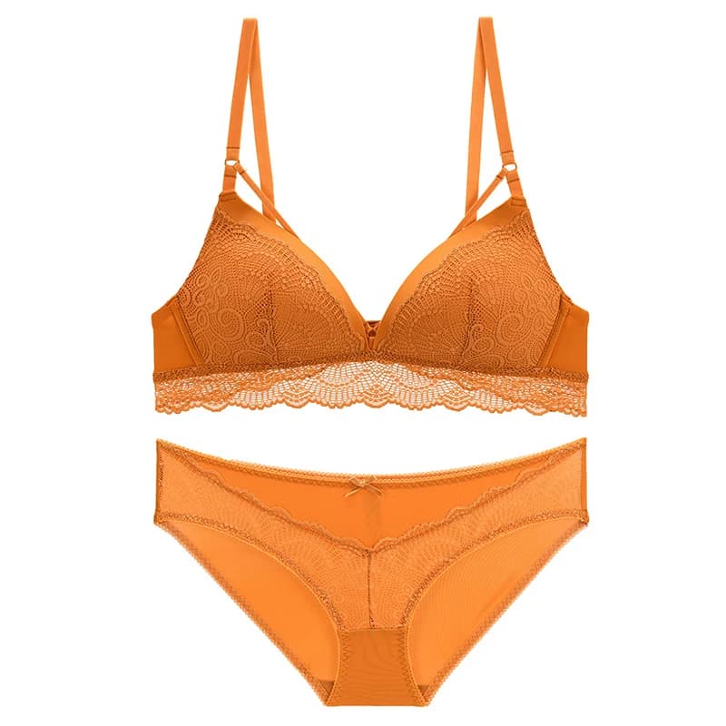 Ensemble de soutien-gorge Triangle sans couture, sous-vêtements Sexy en dentelle brodée pour femmes