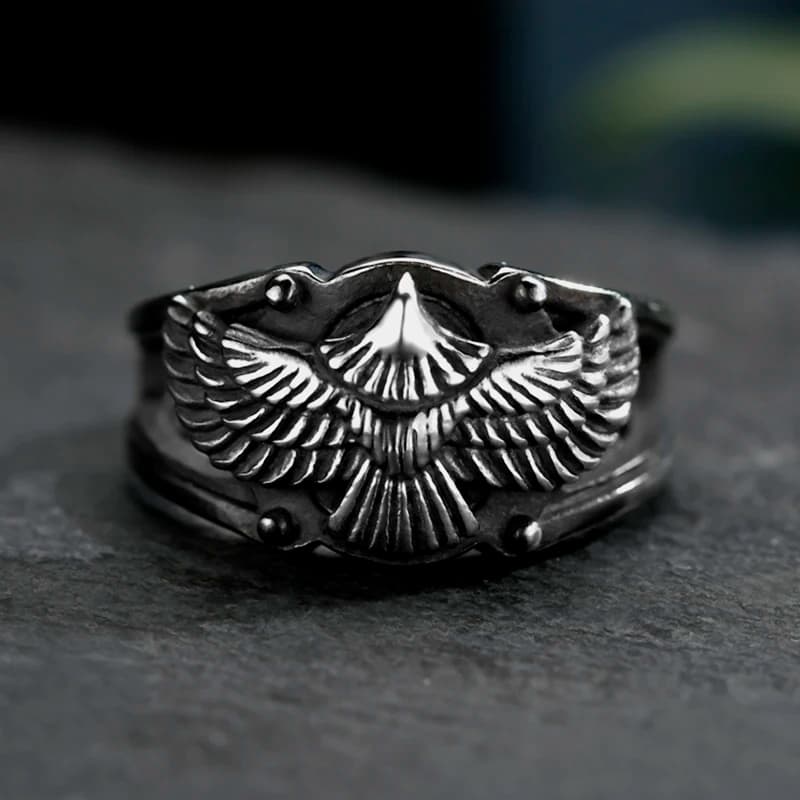 Bagues en acier inoxydable pour hommes, aigle volant, Punk Rock, personnalité pour petit ami, bijoux créatifs, cadeau, vente en gros