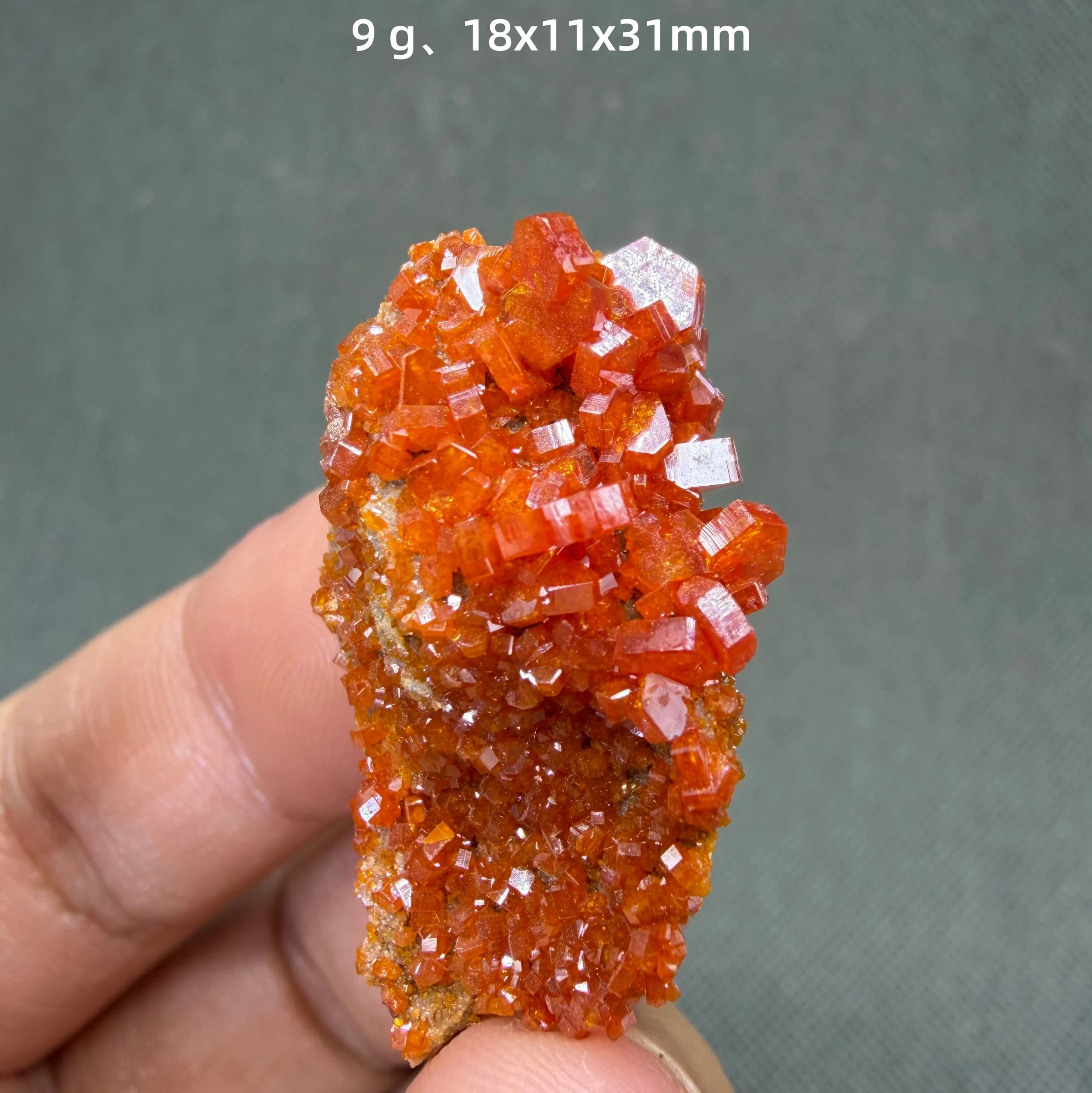 Groupe de cristaux de vanadinite rares, spécimen minéral hexagonal en forme de baril, qualité de collection