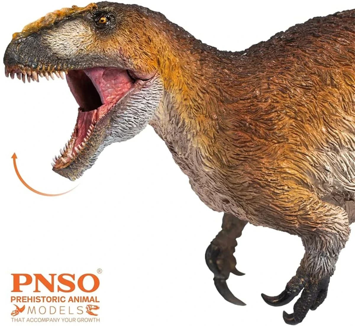 Figurine PNSO 52 Yutyrannus Yinqi, modèle de dinosaure Proceratosaurus, animal préhistorique, décoration pour collectionneur, cadeau pour adulte