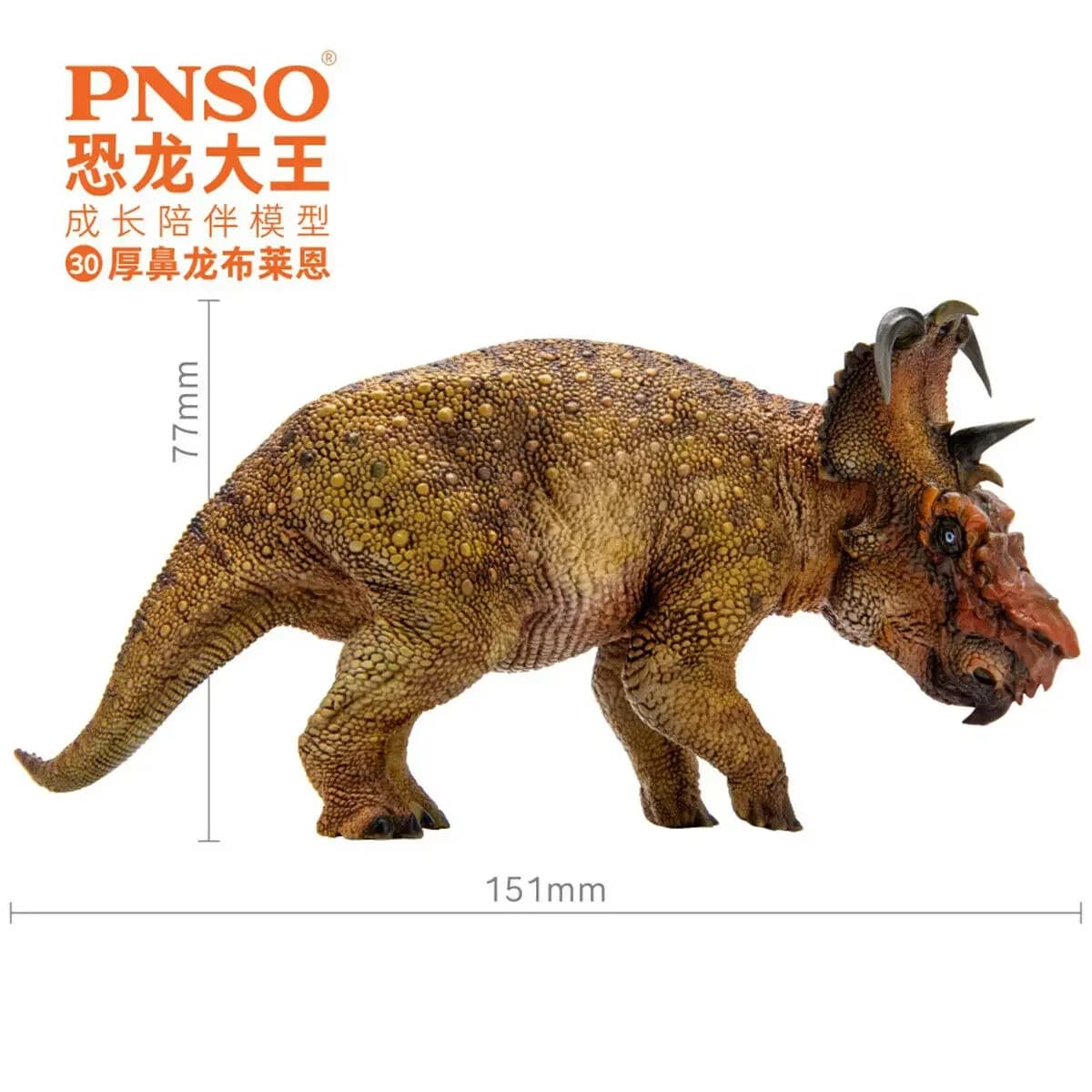 Figurine PNSO 30 Pachyrhinosaurus, modèle de dinosaure Ceratopsidae, animal de collection pour adulte, Triceratops, cadeau de Noël ou d'anniversaire