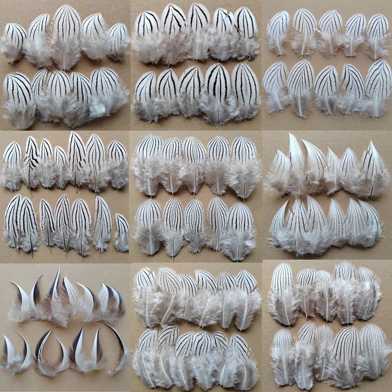 Lot de 50 Plumes Naturelles de 4-12 cm, Plumes de Corps de Faisan Argenté Naturelles Blanches et Noires pour Pêche/Artisanat
