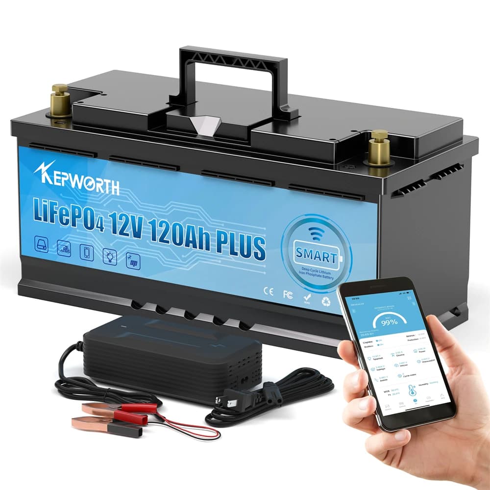 Batterie au Lithium fer Phosphate LiFePO4, 12V, 24V, 100ah, 120ah, 135ah, 300ah, avec BMS, pour voiturette de Golf, moteur de pêche à la traîne à énergie solaire EV RV