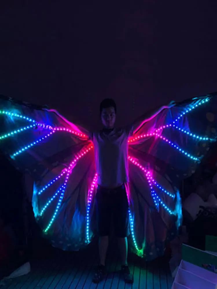 Costume de spectacle de danse du ventre coloré, ailes LED, accessoires de danse, ailes LED pour filles, ailes de papillon LED