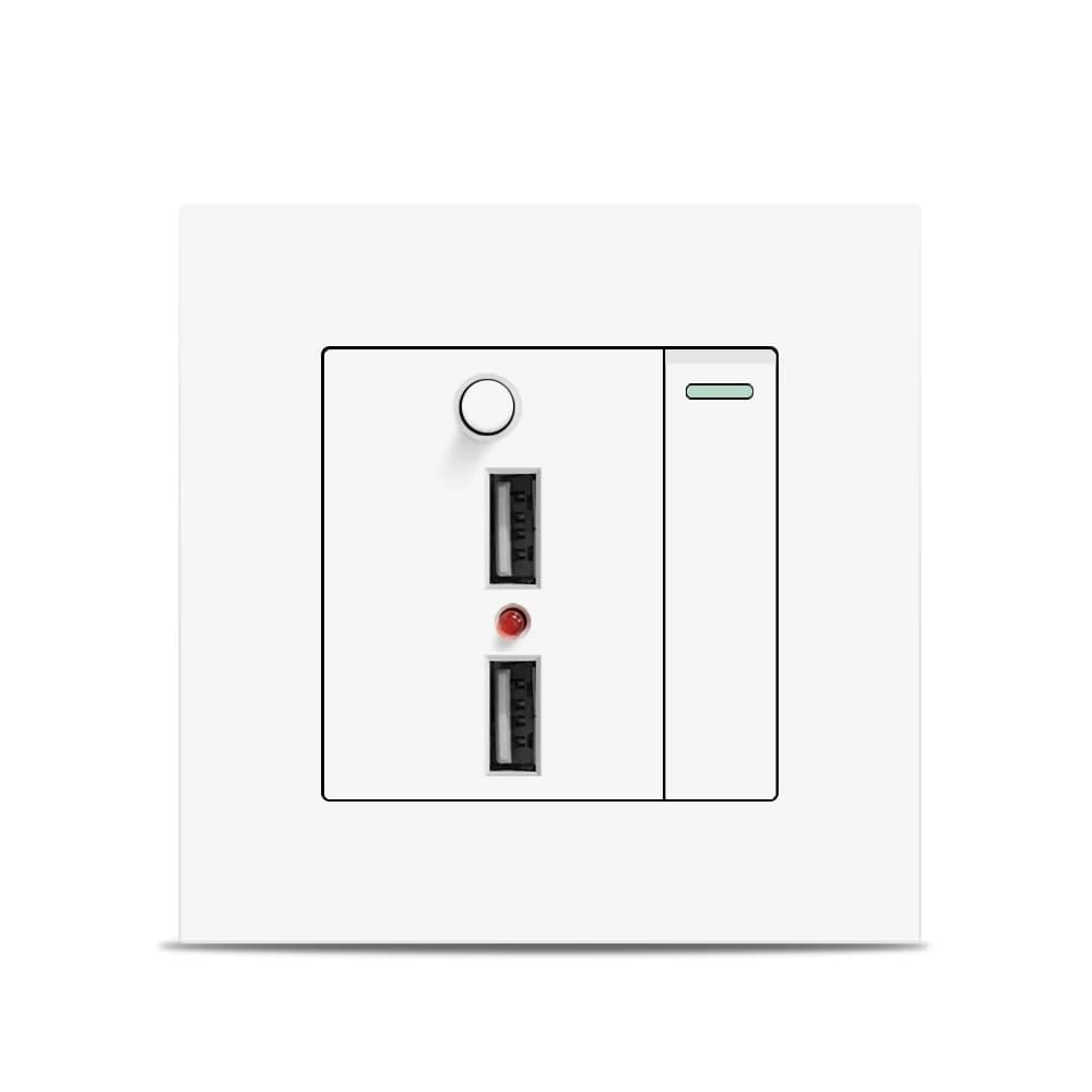 1 gang 2 voies avec prise de chargement USB 2 ports, avec lumière LED, AC110-250V, interrupteur d'éclairage avec prise USB universelle internationale