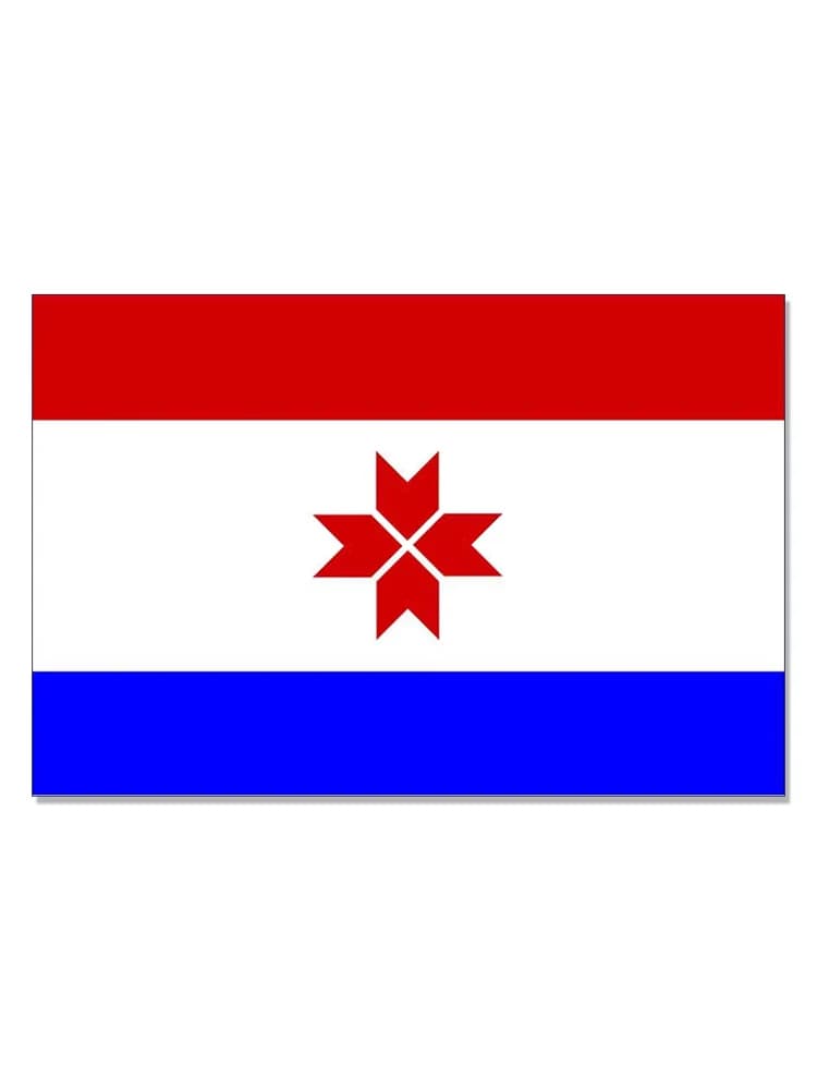 Drapeau de la République de Mordovie, drapeau de l'État de la Russie, 150X90cm, Polyester 100D, 3x5ft, œillets en laiton, drapeau personnalisé
