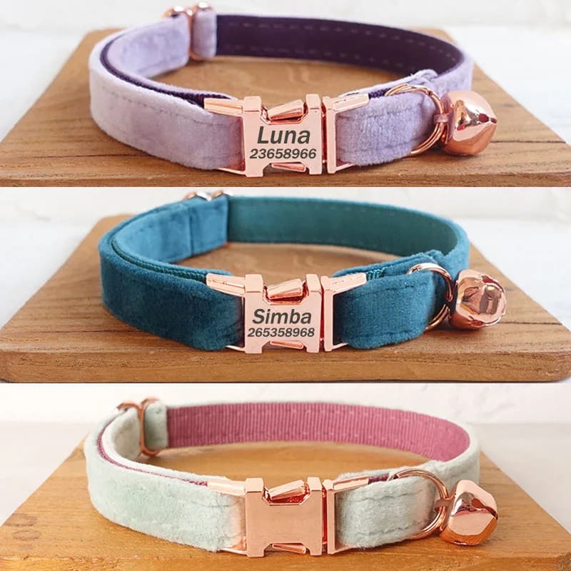 Collier de chat en velours personnalisé, étiquette d'identification personnalisée, colliers de chaton, cloche de chat, chiot, Chihuahua, collier en Yorshire réglable