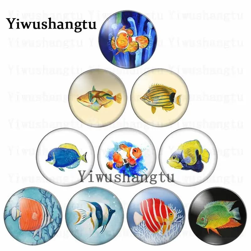 Cabochon en verre avec photo ronde, poissons marins colorés de dessin animé 12mm/20mm/25mm/30mm, résultats de fabrication à dos plat