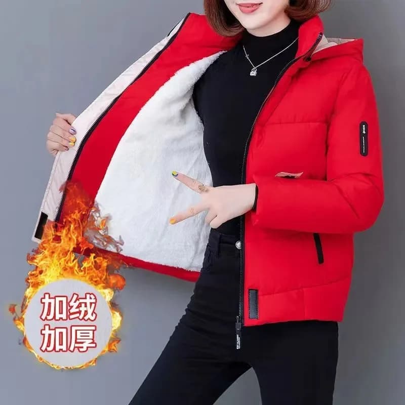 Doudoune Chaude en Coton et Velours pour Femme, Vêtement d'Hiver, Nouvelle Collection 2024