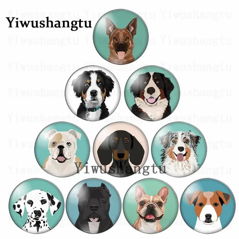 Cabochon Rond en Verre avec Photo d'Animal, Interrupteur Chien, 12/20/25/30mm