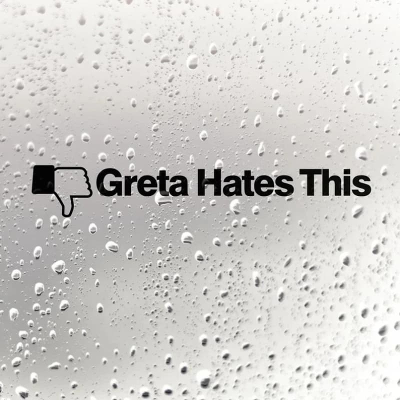 Autocollant de voiture amusant et imperméable FUYOOHI « Greta Hates This » noir et blanc, décalcomanie de personnalité, décoration de fenêtre très vendue