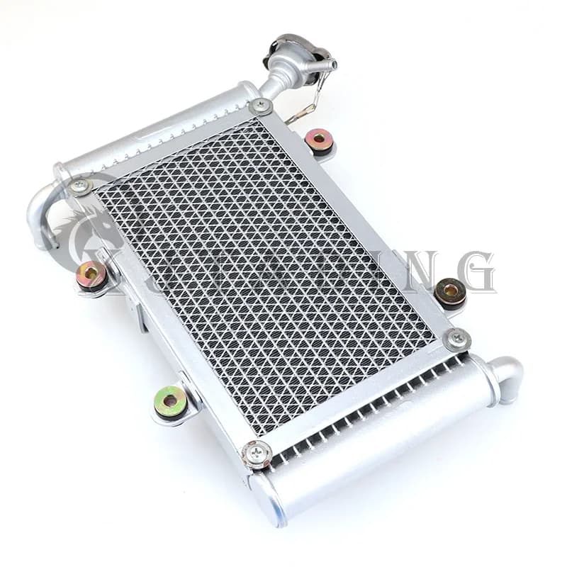 Refroidisseur de radiateur refroidissement par eau pour Bashan 200CC 250CC BS200 BS200S-7 UTV ATV Quad Bike Buggy moteur accessoires