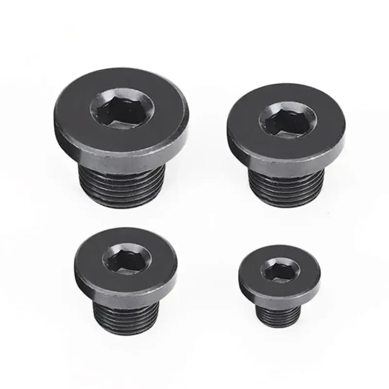 Bouchon d'extrémité en acier au carbone mâle BSPP M8-M16/M18/M20/M22/M24/M26/M27/M30-M60 1/4-1 pouce avec bride et douille hexagonale pour hydraulique et vapeur