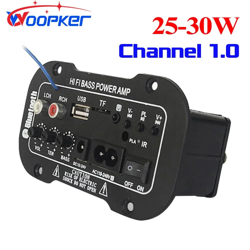 Woopker haut-parleur carte amplificateur bricolage numérique Bluetooth amplificateurs Module AUX TF carte USB 25-30W haut-parleur 110V 220V 12V 24V