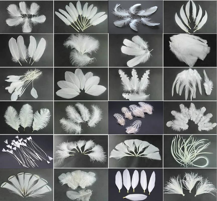 50 pièces/lot! Plumes d'autruche, d'oie et de faisan blanches pour l'artisanat, plumes de poulet et de dinde, accessoires de décoration pour mariage et fête