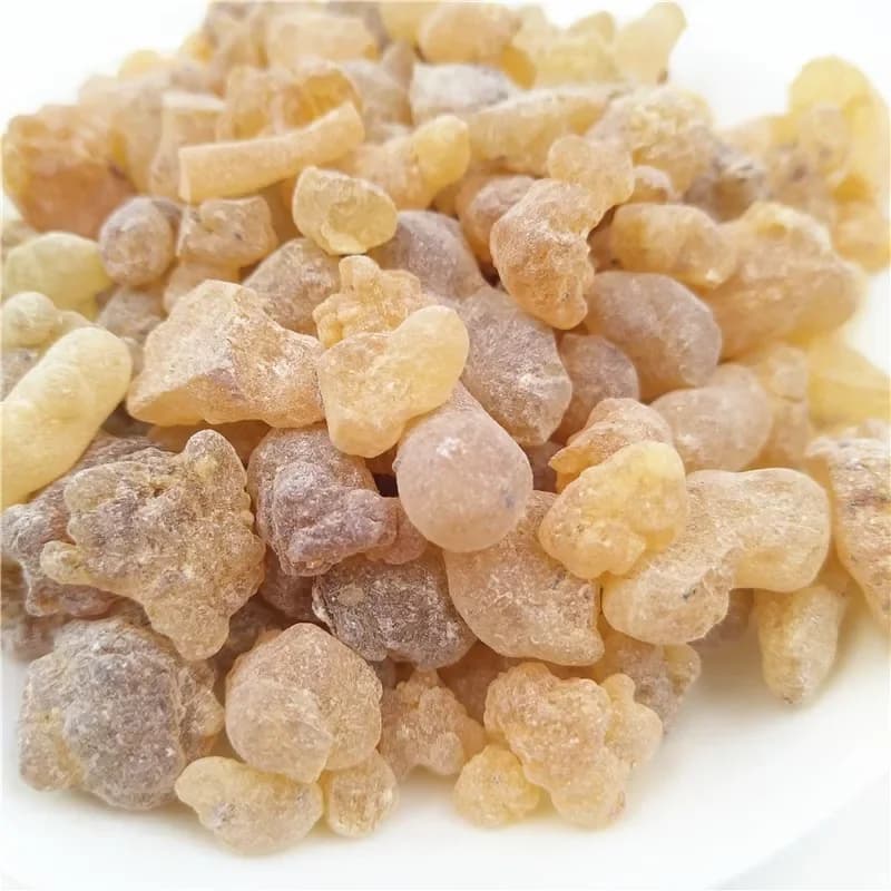Résine d'encens Oliban de Somalie organique, hydrolat de médecine, cônes d'encens propres, ples continents, Boswellia