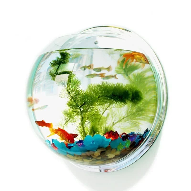 Aquarium mural en acrylique Pinsjar, aquarium suspendu, fournitures pour animaux d'eau, produits pour animaux de compagnie, aquarium mural pour poissons Betta