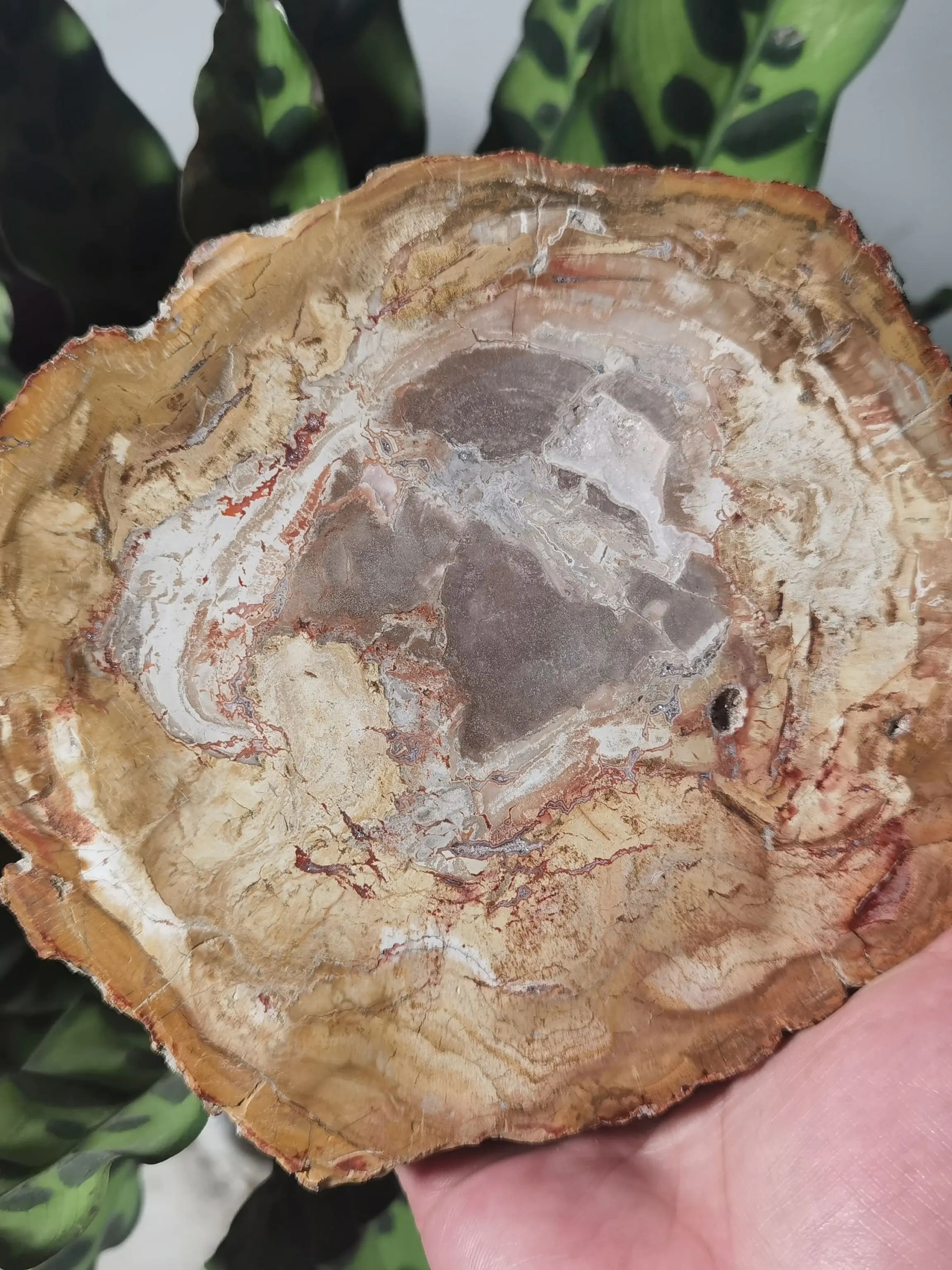 Sous-verre en bois nacré naturel, cristal, pierre de puissance, cadeau