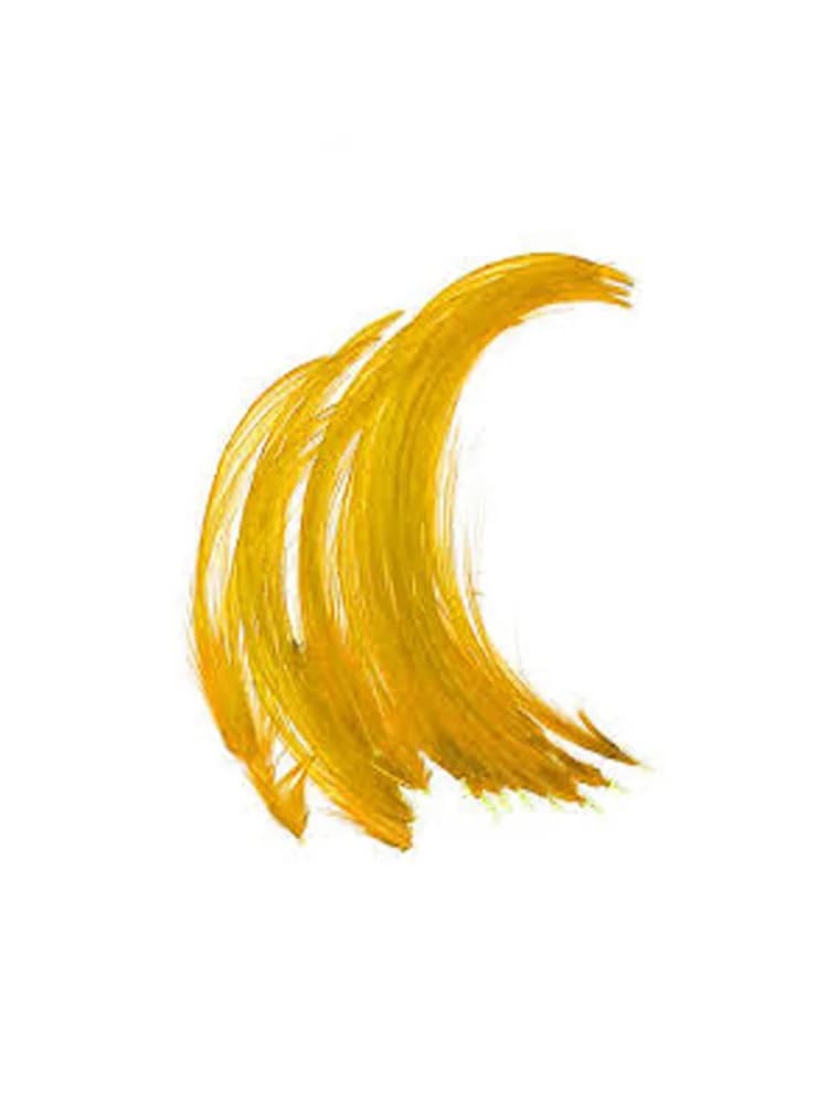 Plumes de faisan dorées sélectionnées à la main, petite taille 2-7cm, pour attacher des banderoles et des mouches humides, plumes jaunes brillantes