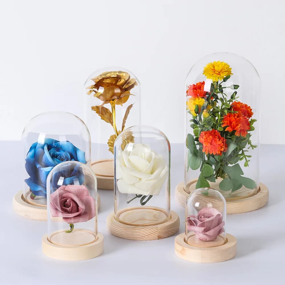 Présentoir à fleurs en verre avec base en bois, Vases de décoration intérieure, Everche Bell Jar, Bouteille en verre, Couvercle anti-poussière, Boîte de présentation, Boîte à fleurs originale