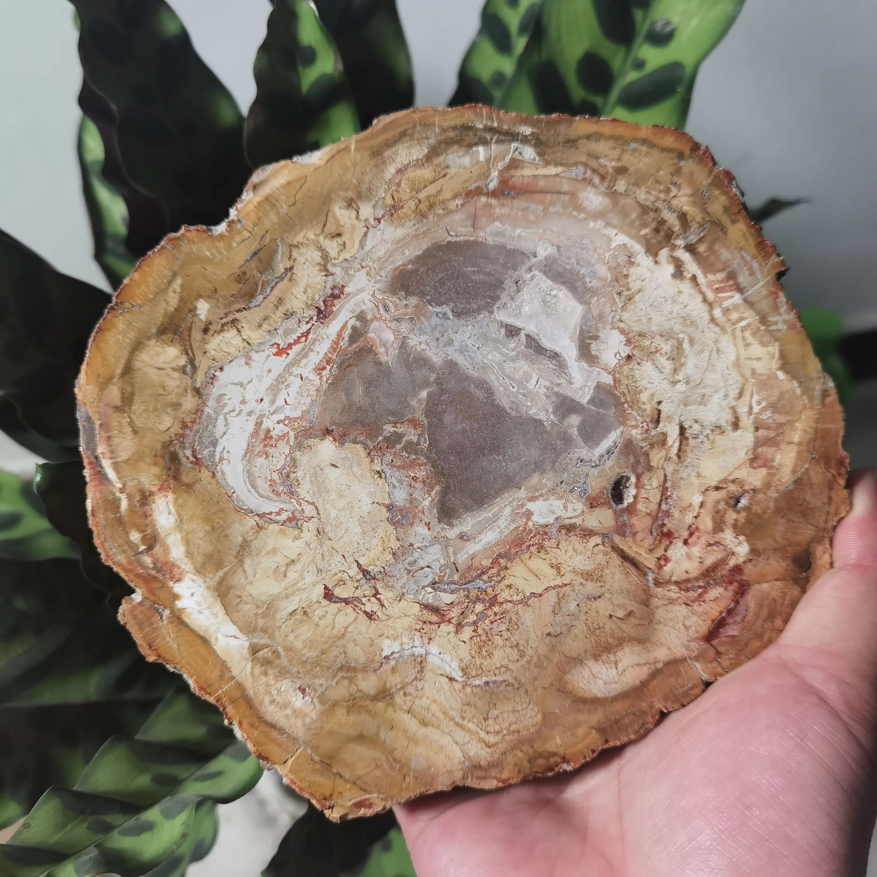 Sous-verre en bois nacré naturel, cristal, pierre de puissance, cadeau