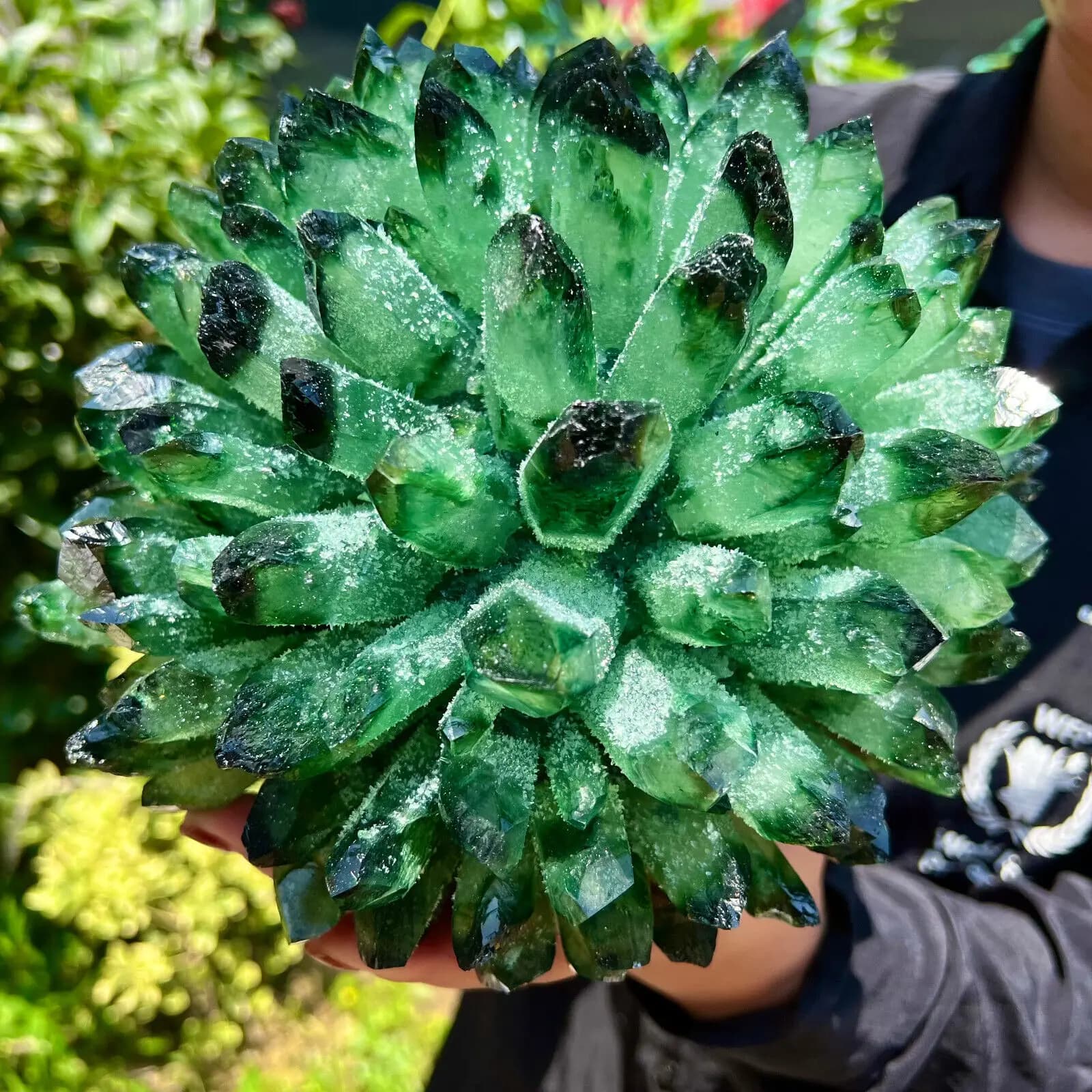 Épissage brut de grappe de cristal de PHANTOM, spécimen d'azole, vert