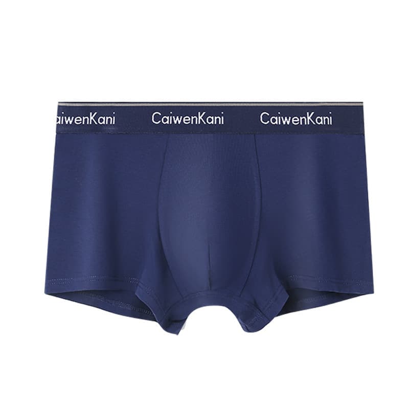 Boxer pour homme en coton respirant et modal, short d'été fin pour garçon